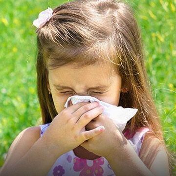 Hayfever Sneezing